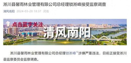 最新南阳爆料视频,最新事件真相曝光 第3张 最新南阳爆料视频,最新事件真相曝光 第3张