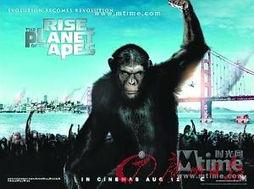 猿族崛起在线观看,探寻原始智慧与人类文明的交融之旅  第3张